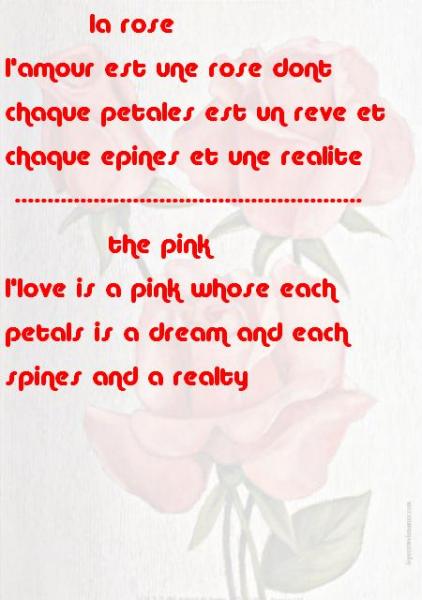             la rose-----------the pink