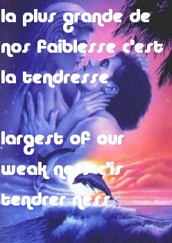                             citation----------quotation