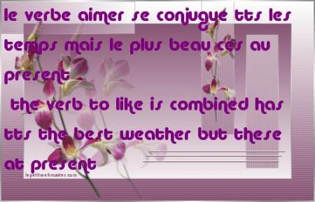                        citation-------------quotation